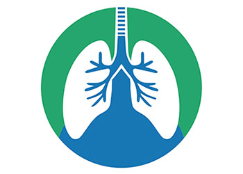 Illustration of a Respiratory system